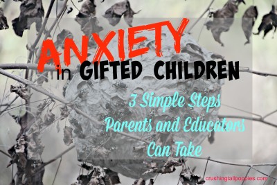 Anxiety In Gifted Children 3 Simple Steps Pas And Educators Can Take