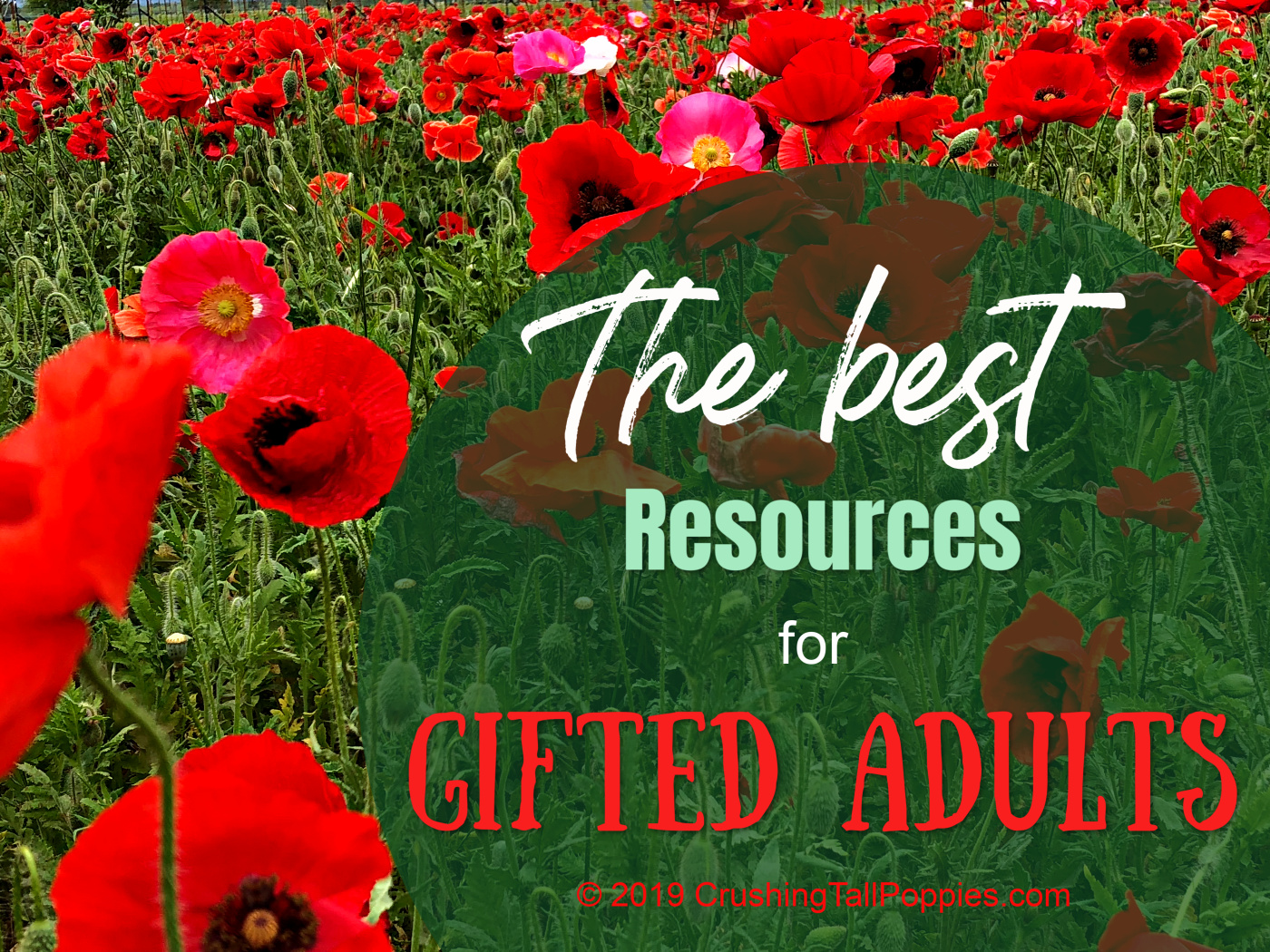 gifted adult resources | Crushing Tall Poppies